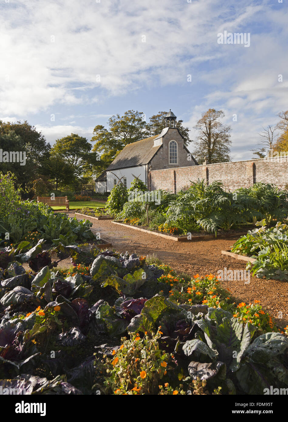 The Victorian Kitchen Garden in late summer at Avebury Manor, Wiltshire Stock Photo Alamy