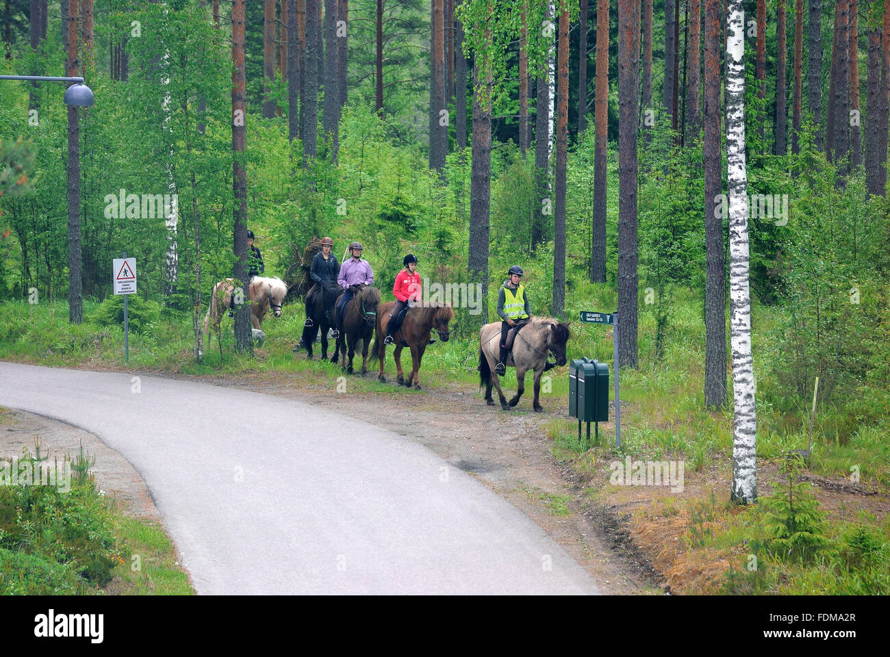 VIERUMAKI, FINLAND, June 23: A group of people at the lessons of riding in a sports complex Vierumaki, Finland, June 23, 2015. Stock Photo