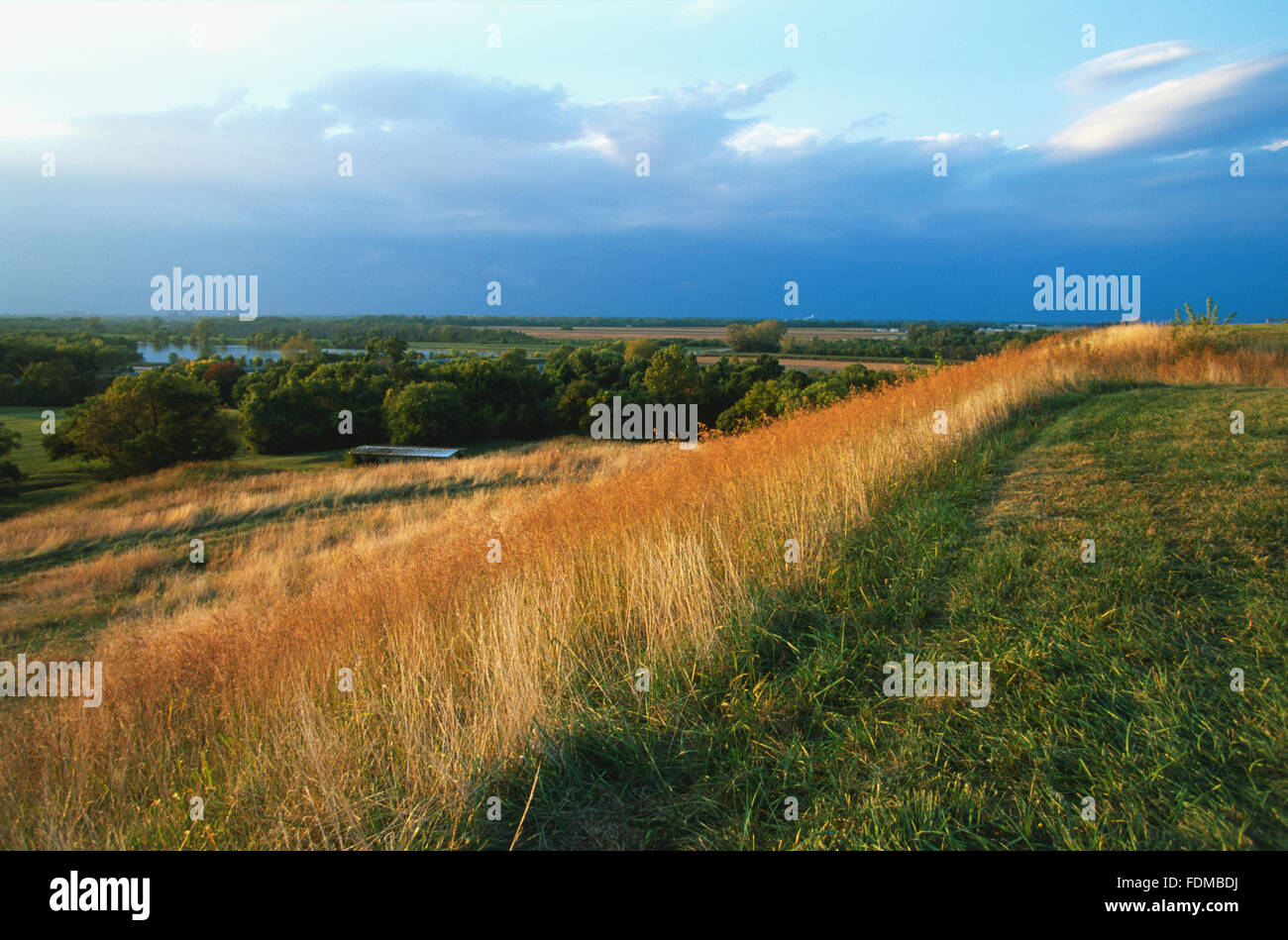 USA, Illinois, Cahokia Mounds State Historic Site, grass-covered earthen mounds Stock Photo