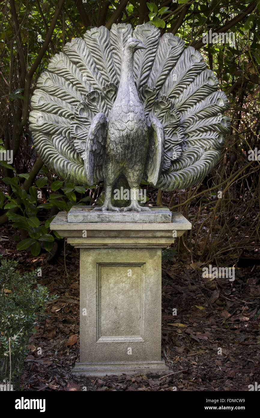The stone Peacock statue on a plinth at Claremont Landscape Garden, Surrey. Stock Photo