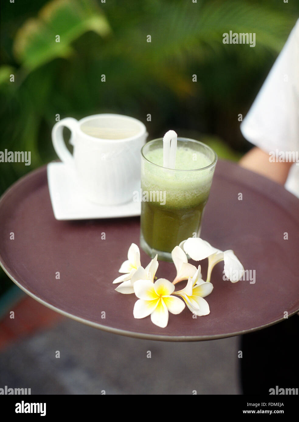 Philippines coconut farm hires stock photography and images Alamy