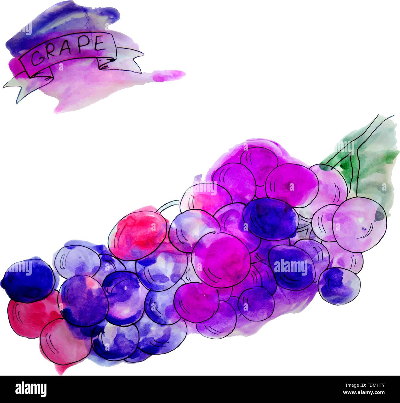 vector watercolor fruits and beverage set Stock Vector Image & Art - Alamy