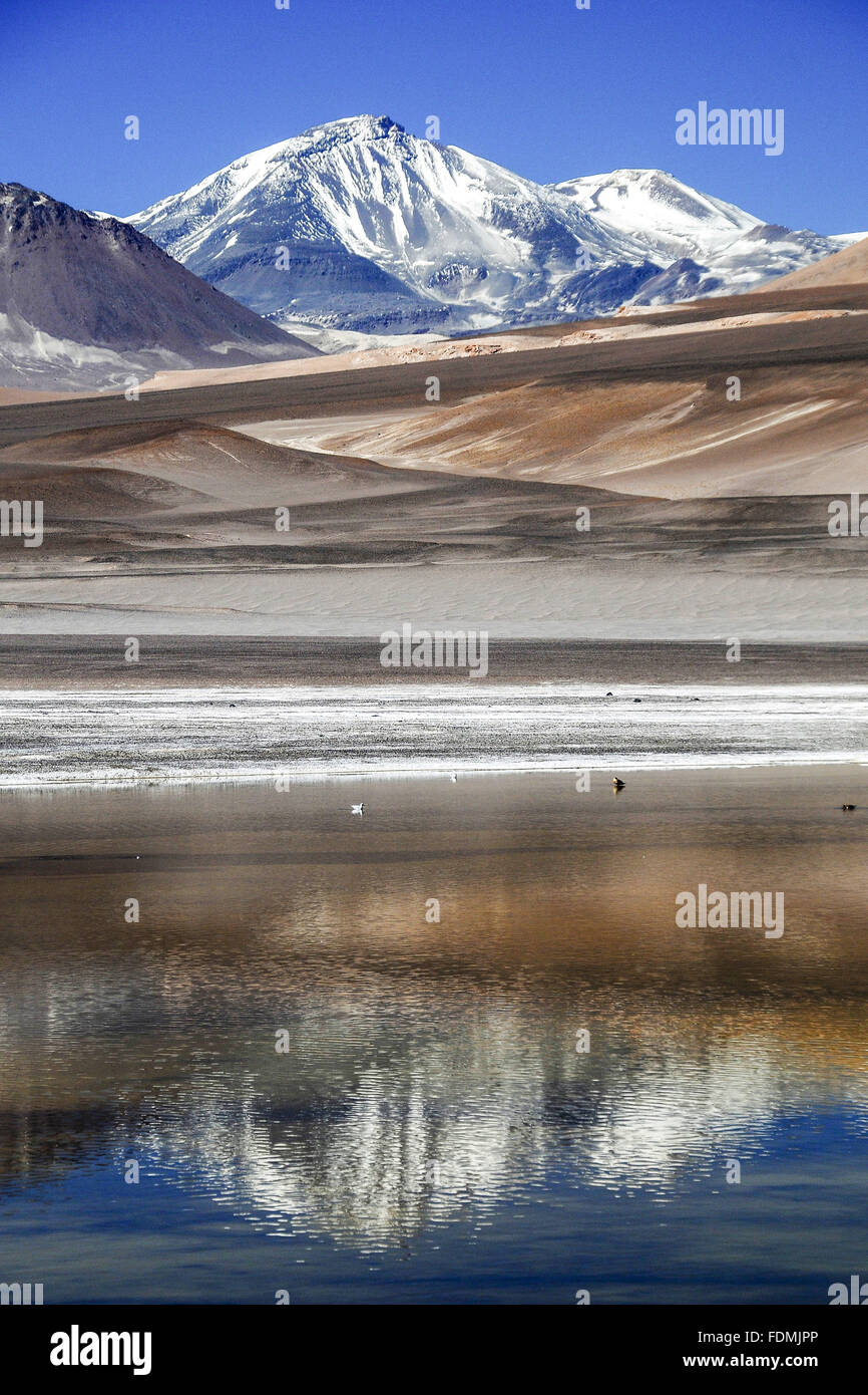 Reflection of the Volcano Ojos del Salado in snow covered pond Stock Photo