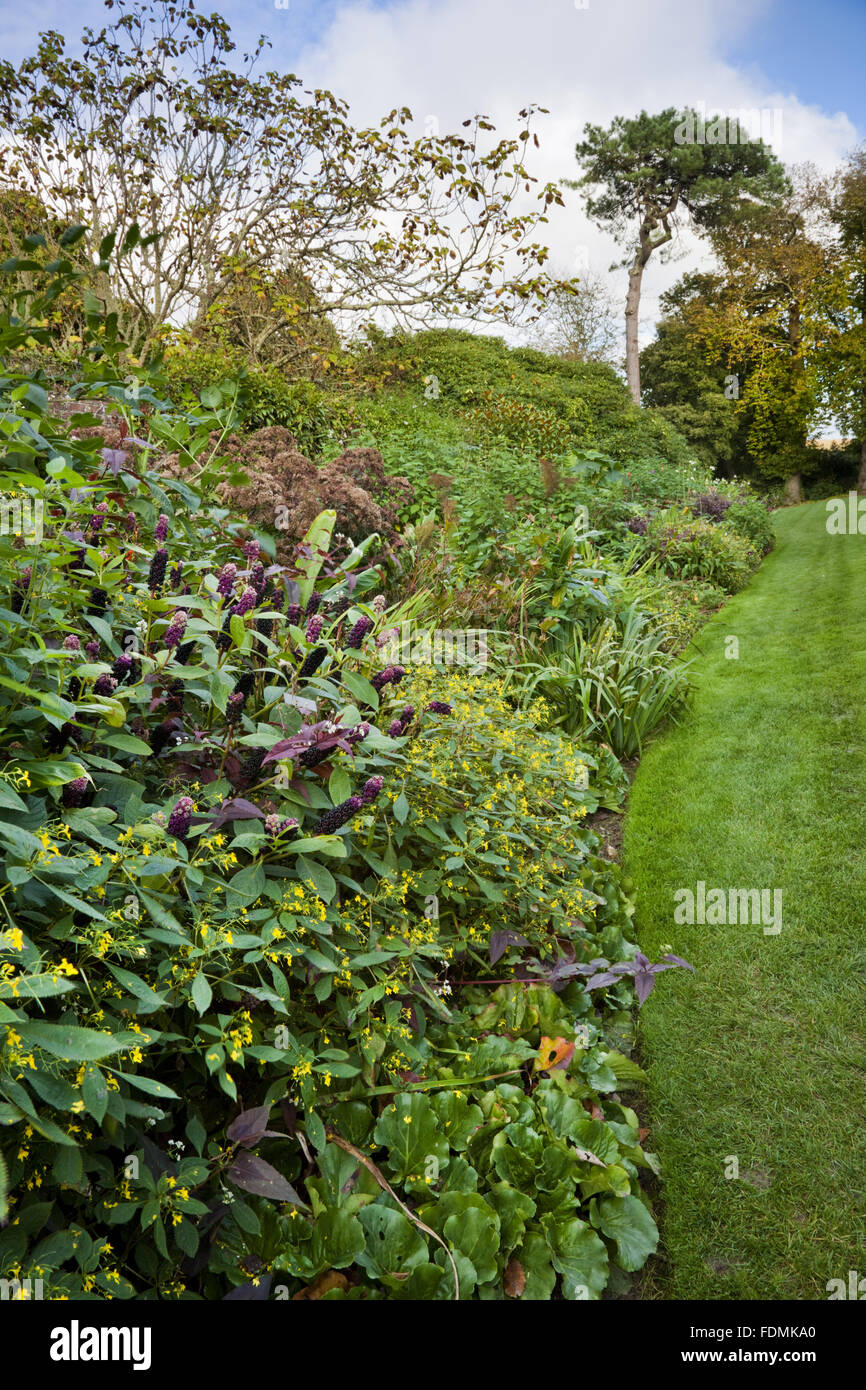 Herbaceous border in October at Trelissick Garden, Cornwall. Stock Photo