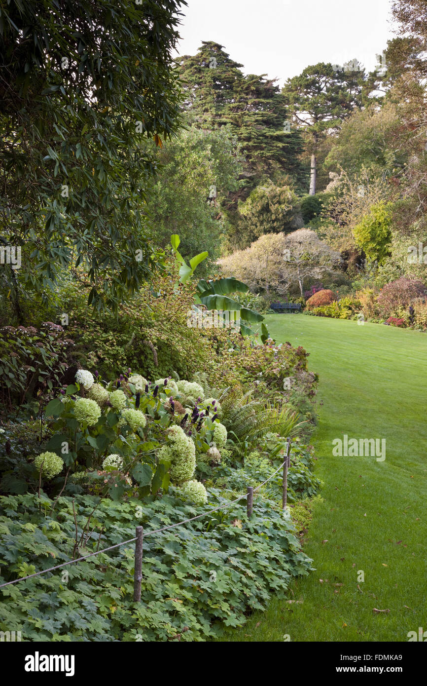 October at Trelissick Garden, Cornwall. Stock Photo