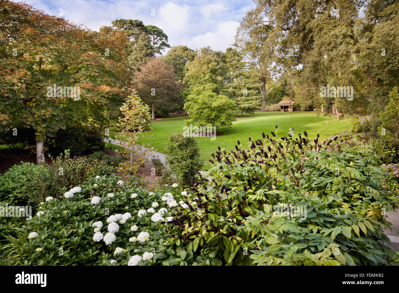 View from the bridge to Carcaddon in October at Trelissick Garden, Cornwall. Stock Photo