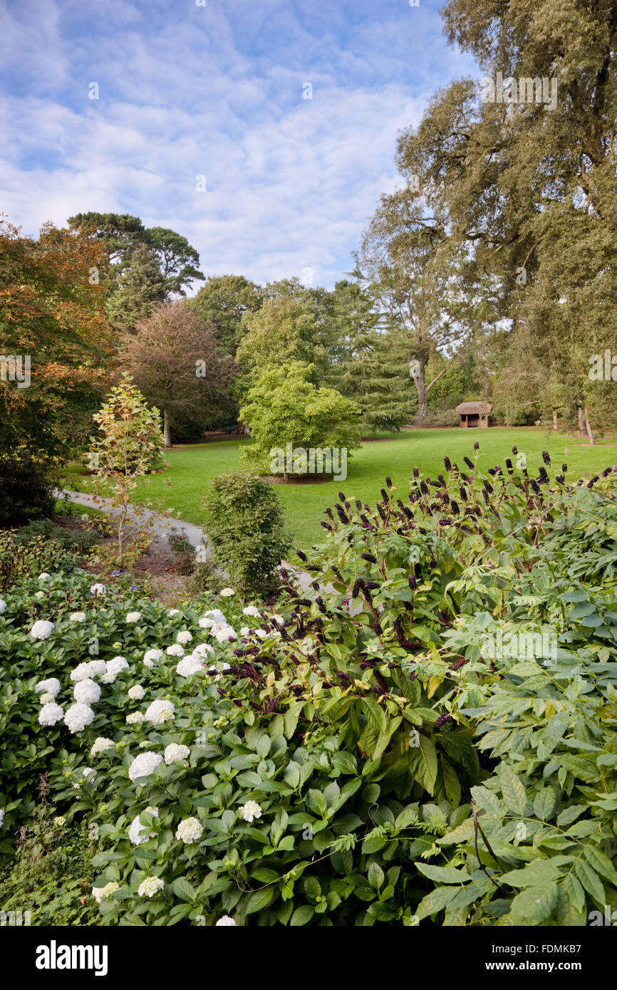 View from the bridge to Carcaddon in October at Trelissick Garden, Cornwall. Stock Photo