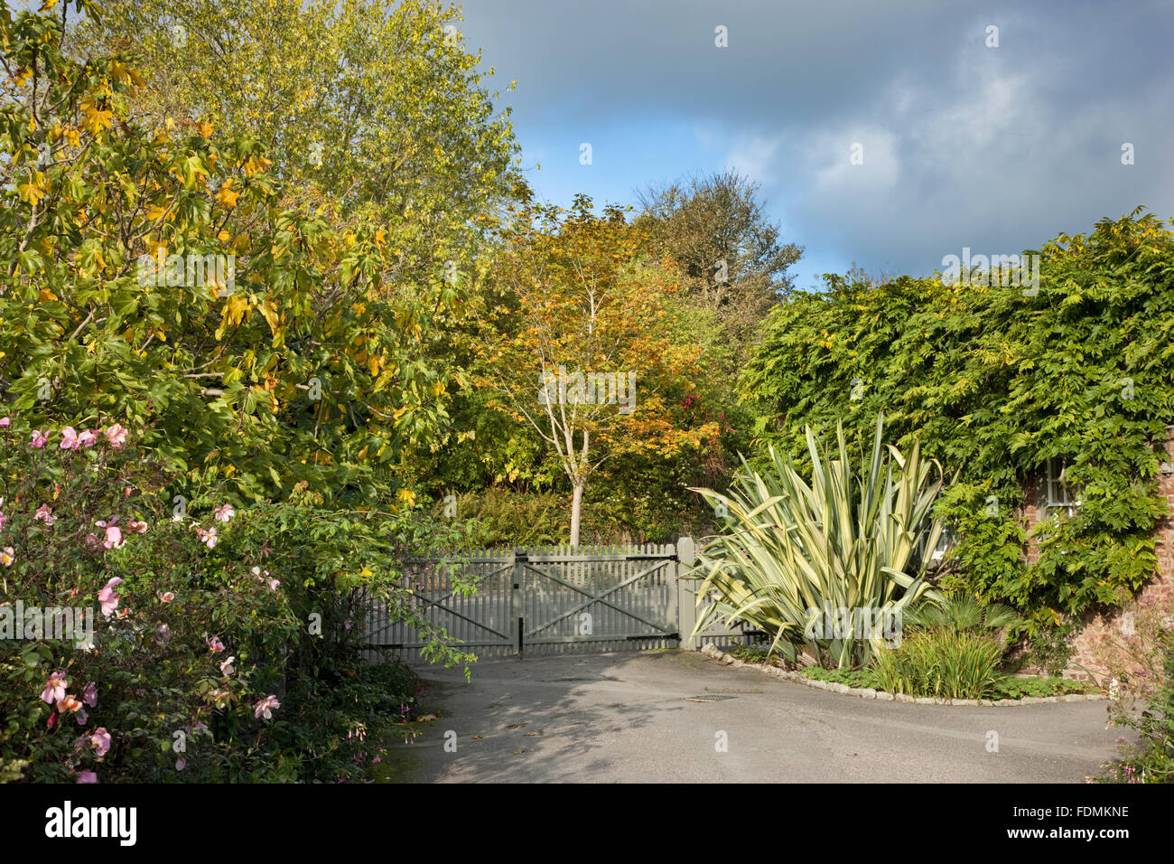 The entrance walk at Trelissick Garden, Cornwall. Stock Photo