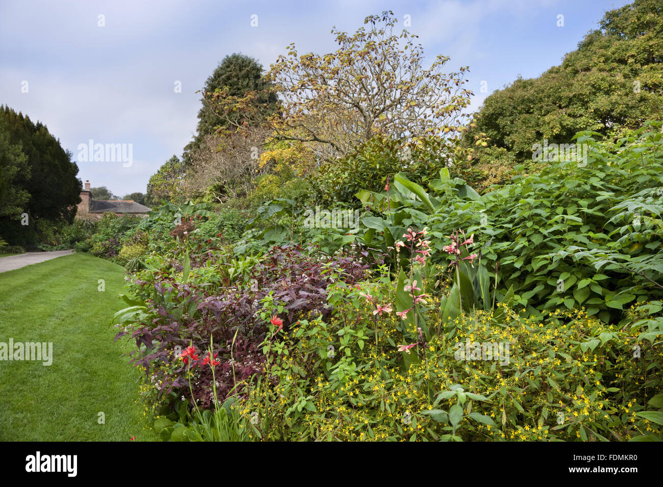 Herbaceous border in October at Trelissick Garden, Cornwall. Stock Photo