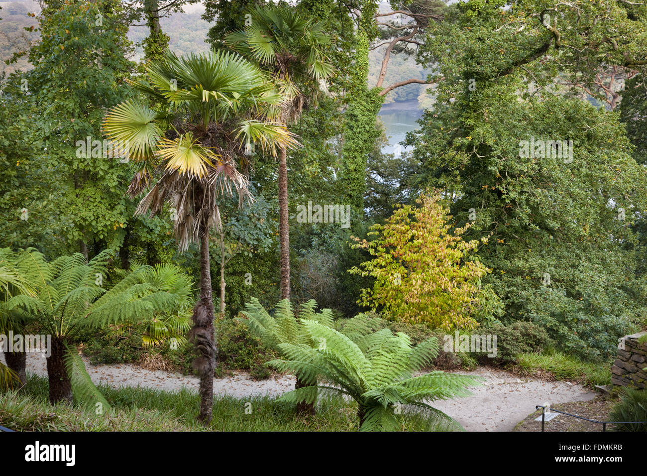 Near the Celtic Cross , in October, at Trelissick Garden, Cornwall. Stock Photo