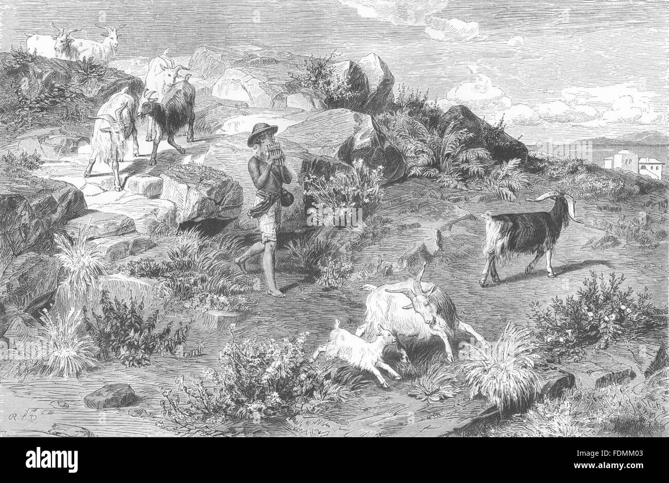 ROME: Roman Campagna: Shepherd boy in the Campagna, antique print 1877 Stock Photo