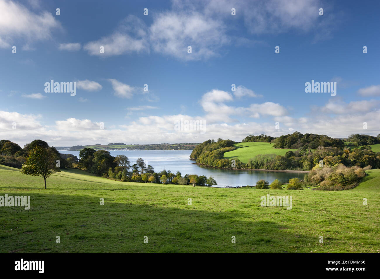 The Carrick Roads seen from Trelissick Garden, Cornwall. Stock Photo