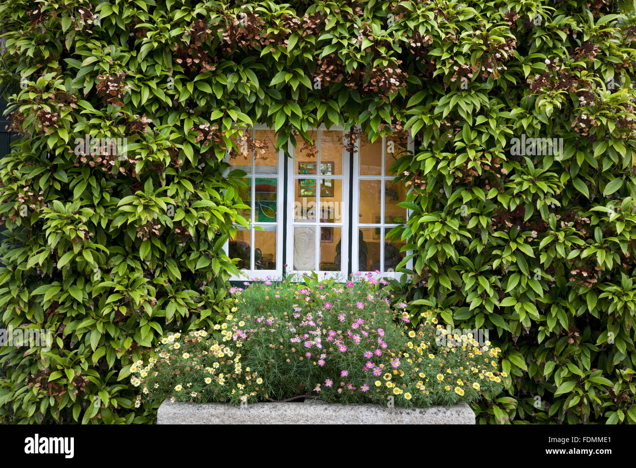 Window into the Gallery at Trelissick Garden, Cornwall. Stock Photo