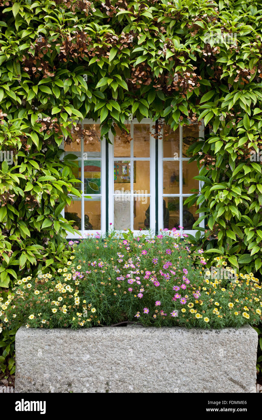 Window into the Gallery at Trelissick Garden, Cornwall. Stock Photo