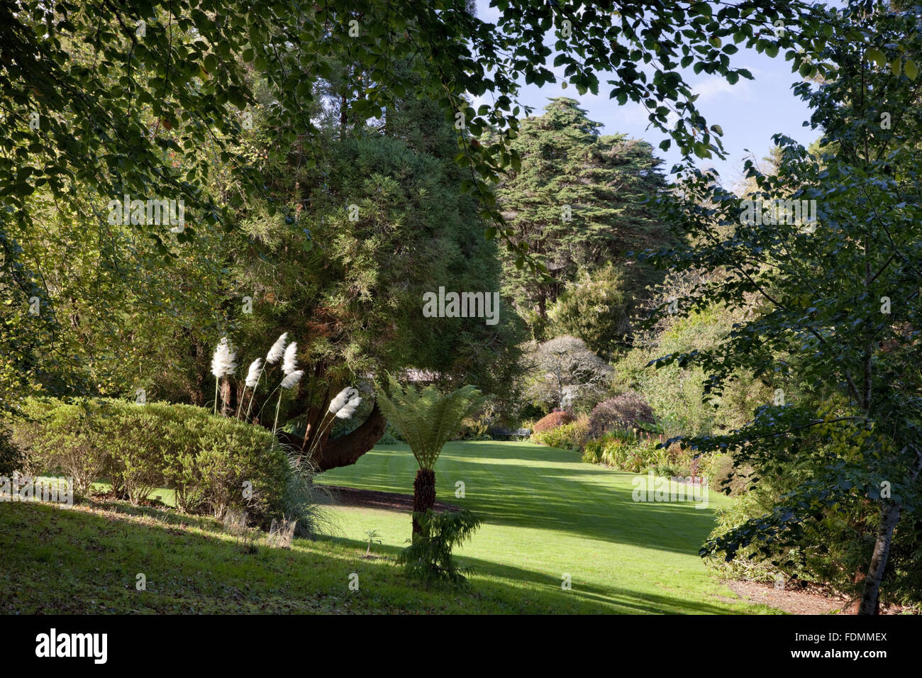The Lawn at Trelissick Garden, Cornwall. Stock Photo