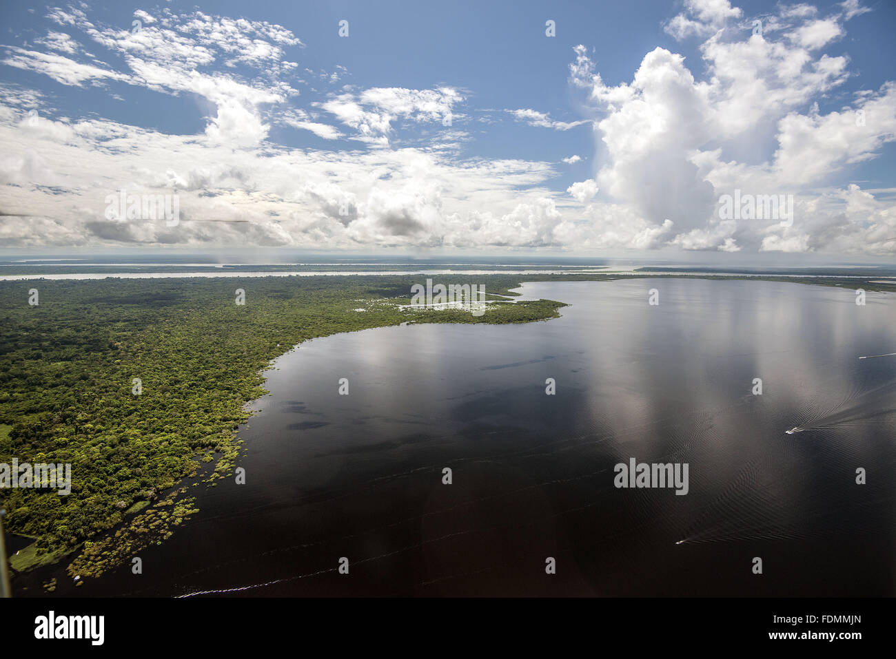 Aerial view of Japura and Amazon River Forest Reserve in Sustainable Development Mamiraua Stock Photo