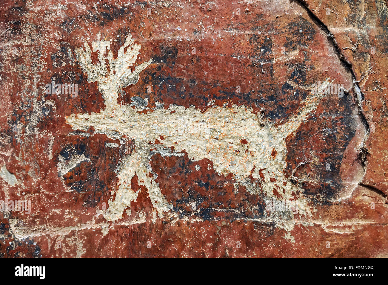 Parque nacional cavernas do peruacu hi-res stock photography and images ...