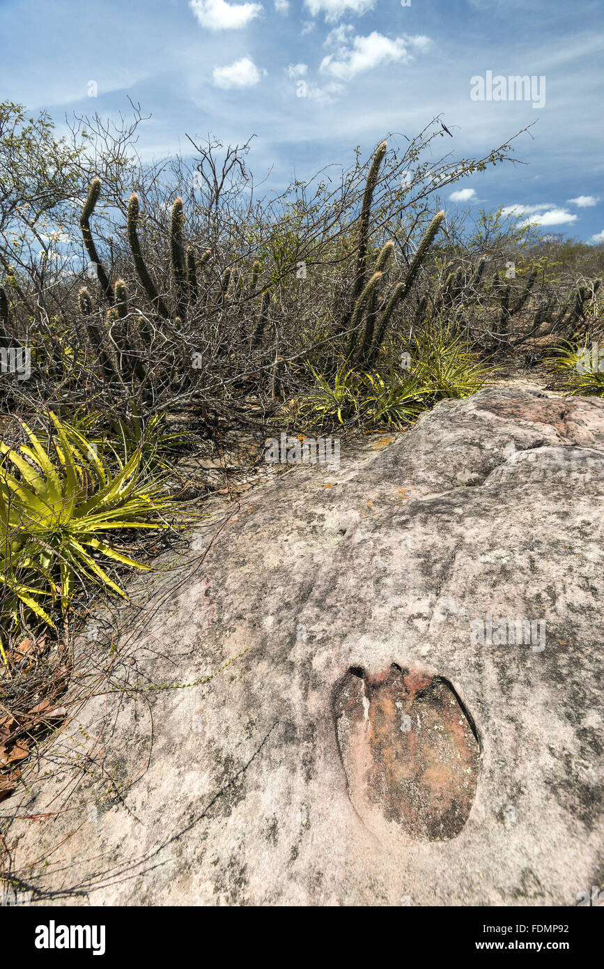 Footprint of dinosaur in the PRNP Serra das Almas - Plateau Ibiapaba Stock Photo