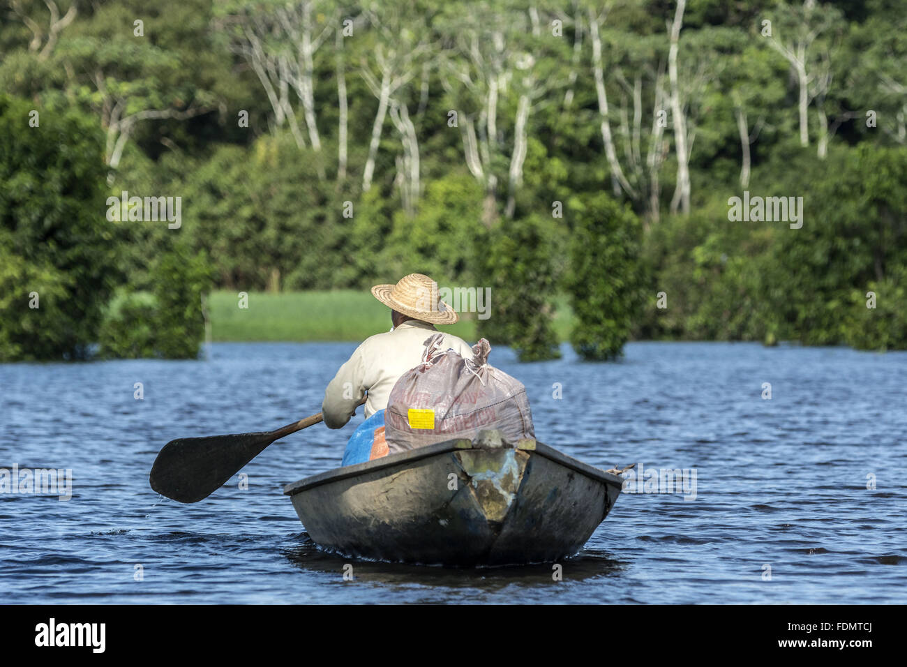 Fisherman in canoe on the river Japura coming for the management of Arapaima in RDSM Stock Photo