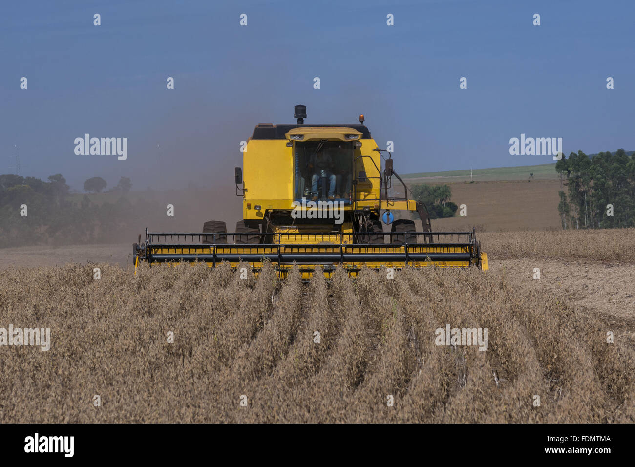 Mechanical harvesting of transgenic soybeans Stock Photo Alamy