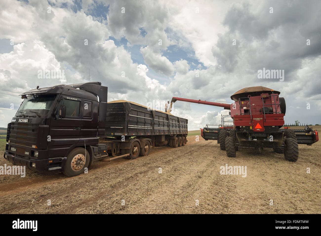 Mechanical harvesting of transgenic soybeans Stock Photo Alamy