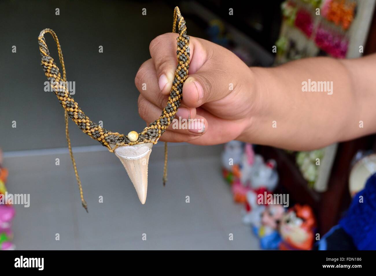 Megalodon tooth deals necklace