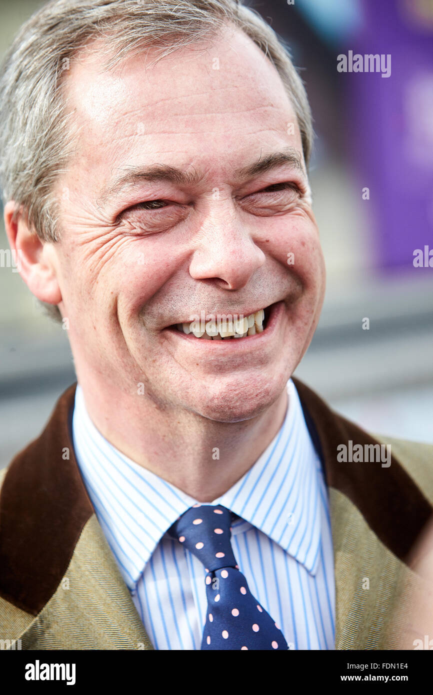 UKIP party leader Nigel Farage Stock Photo Alamy