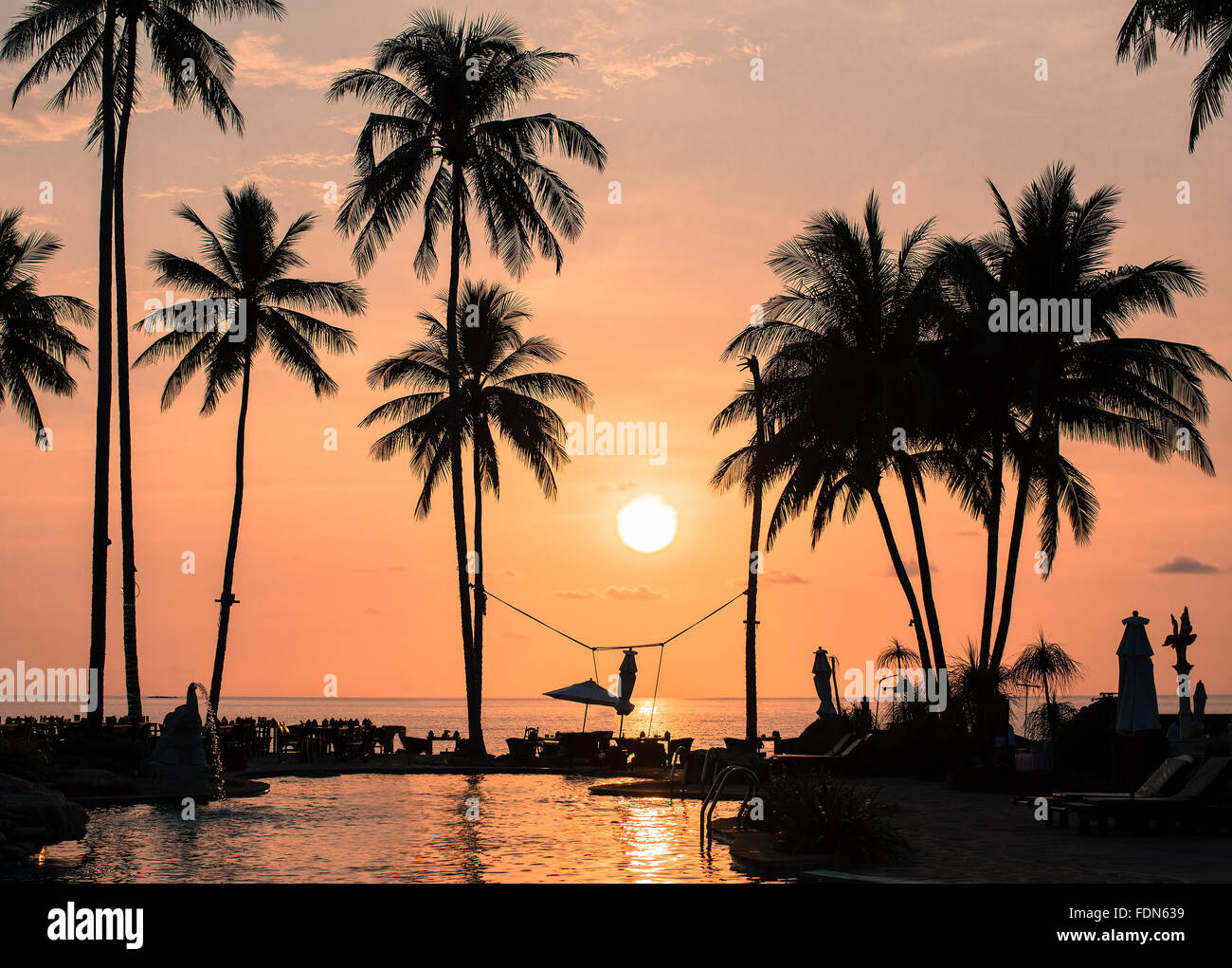 Amazing sunset on the palm trees tropical coast Stock Photo - Alamy