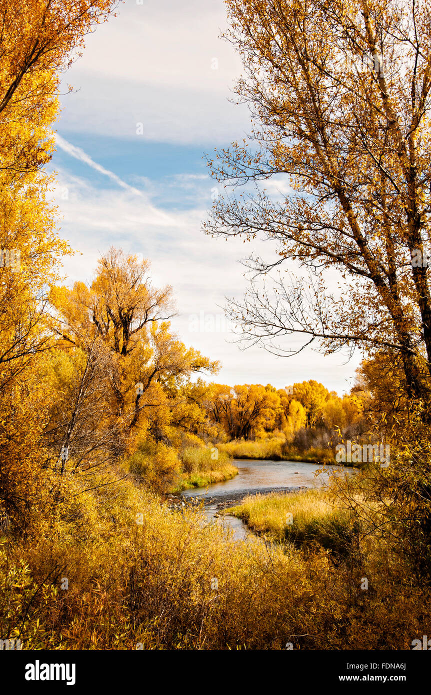 Golden Autumn Landscape Stock Photo