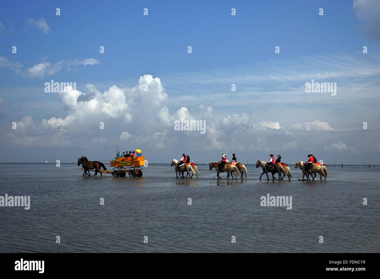 Cuxhaven, Germany, riders and carriage traverse the Wadden Sea Stock Photo