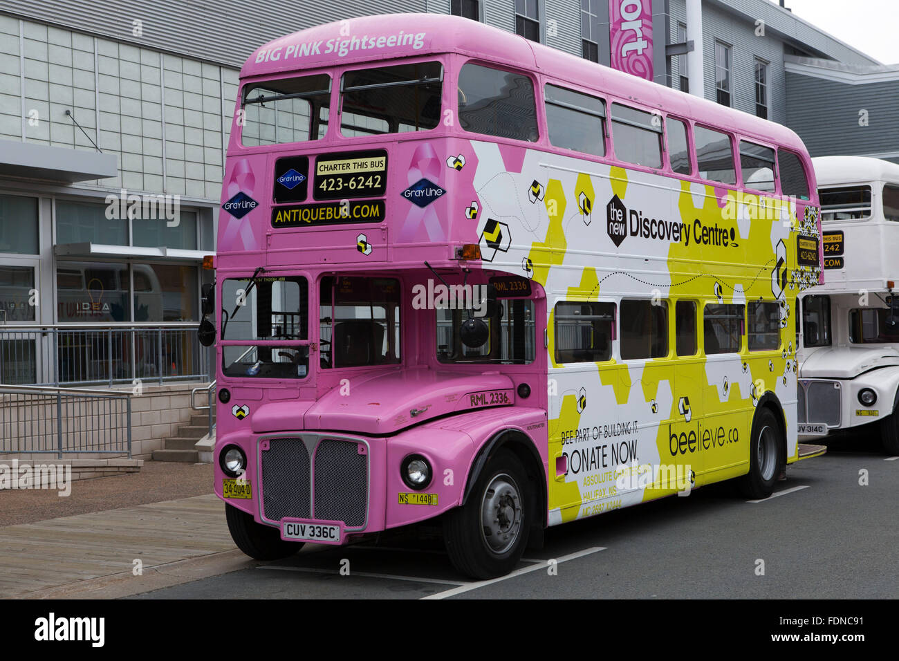 translink st patrick day timetable