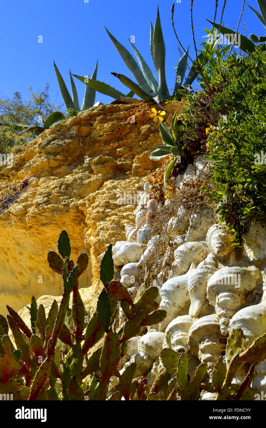 Cactus garden on Armacao De Pera Beach, Portugal Stock Photo