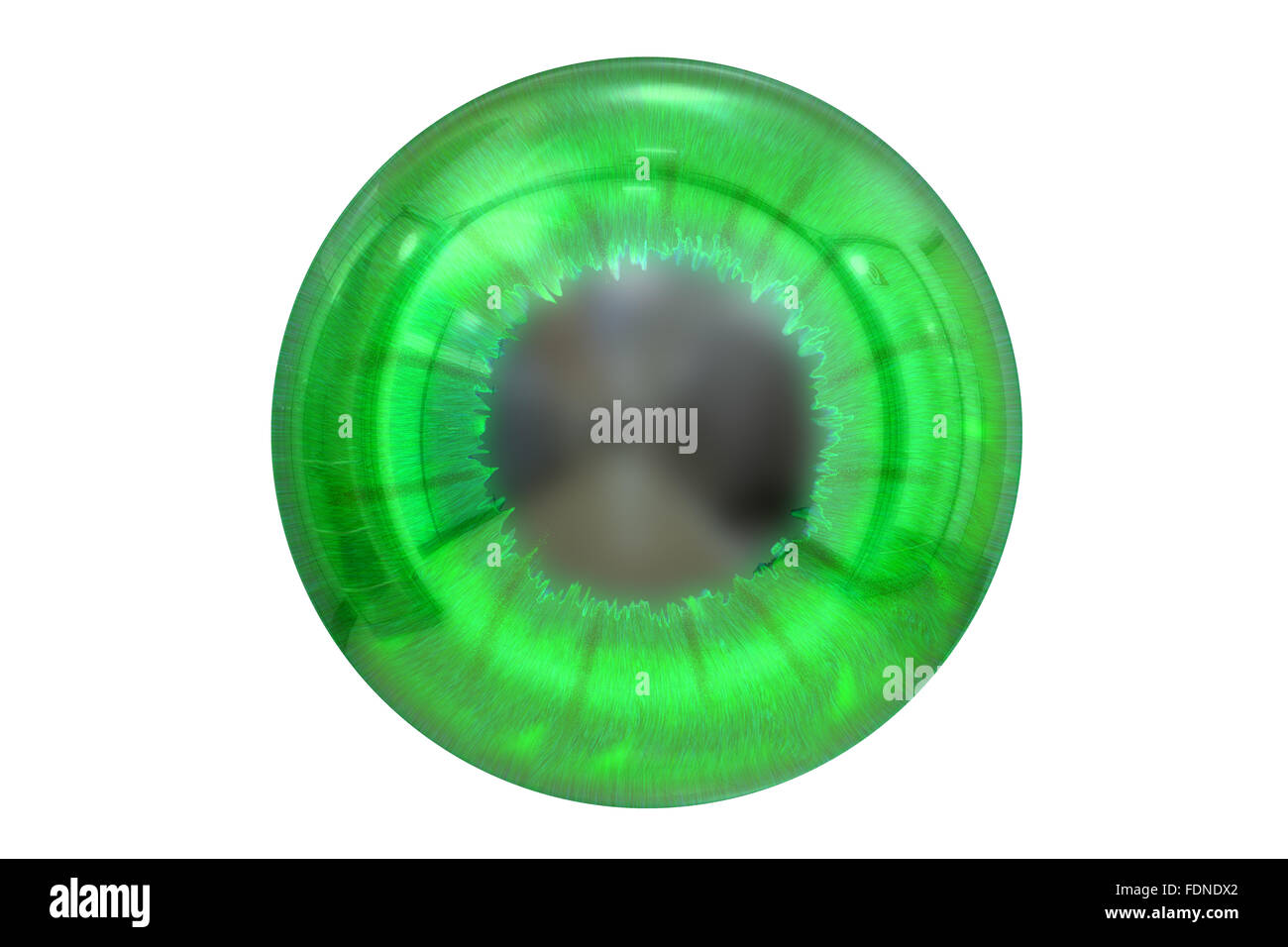 eye with green colored iris isolated on white background Stock Photo ...