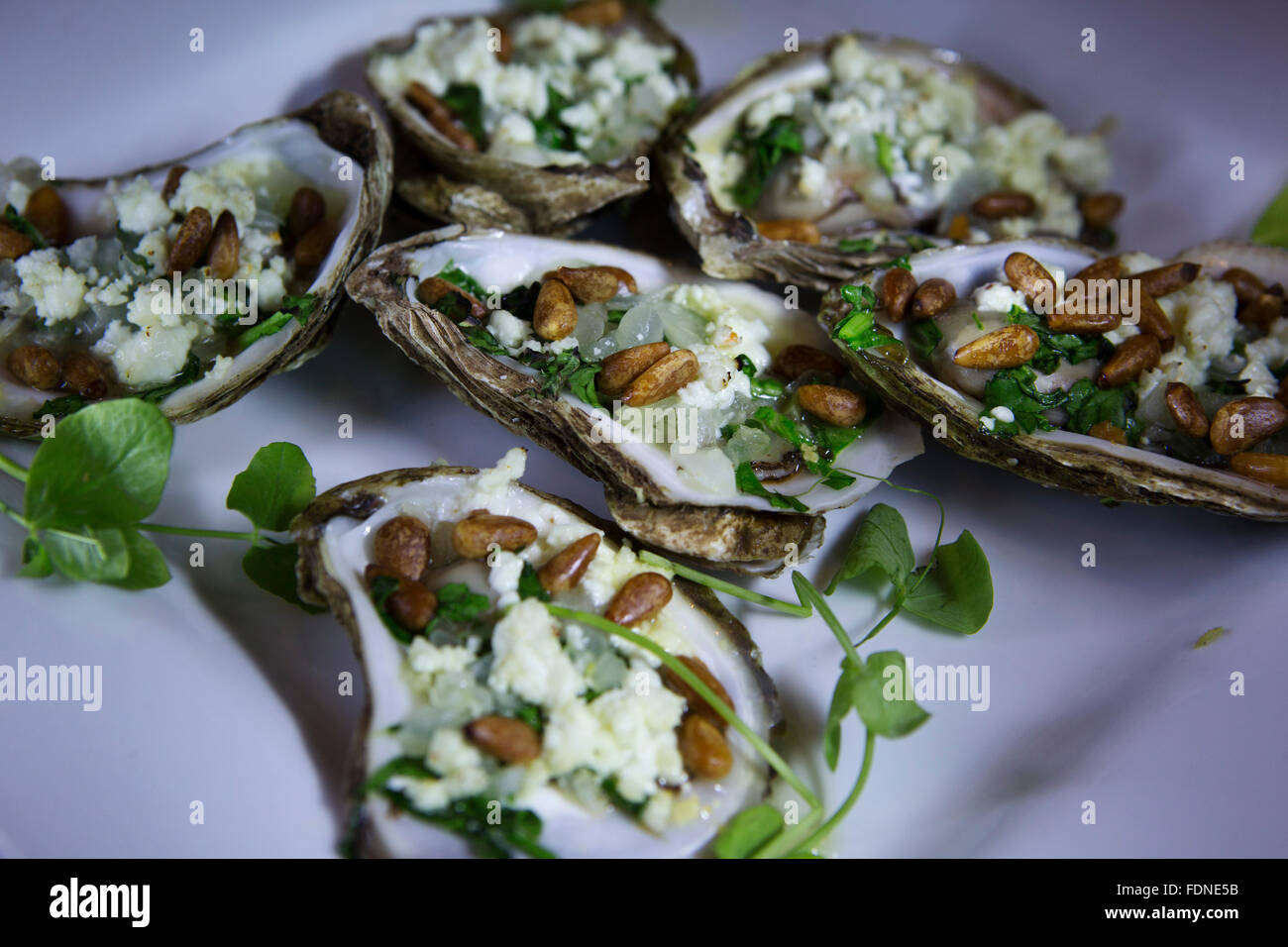 Fresh oysters served in Halifax, Canada. The oysters are served with pine nuts Stock Photo Alamy