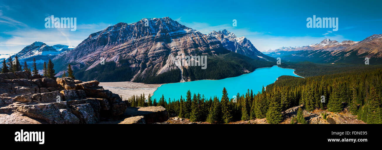 Vibrant Blue Peyto Lake from Bow summit Banff National Park, Alberta Canada Stock Photo