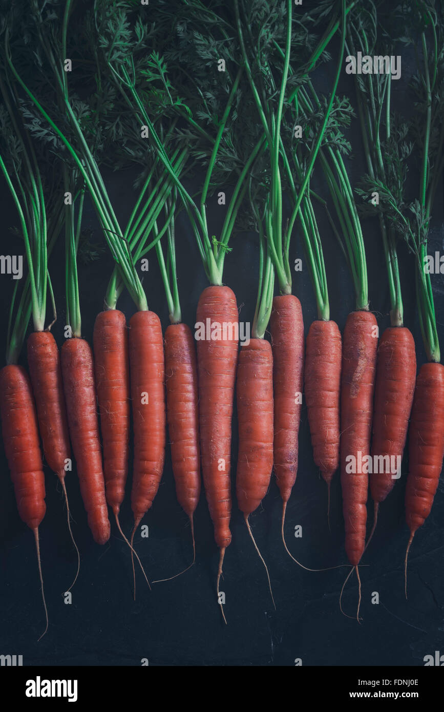 Some beautiful freshly picked organic carrots Stock Photo