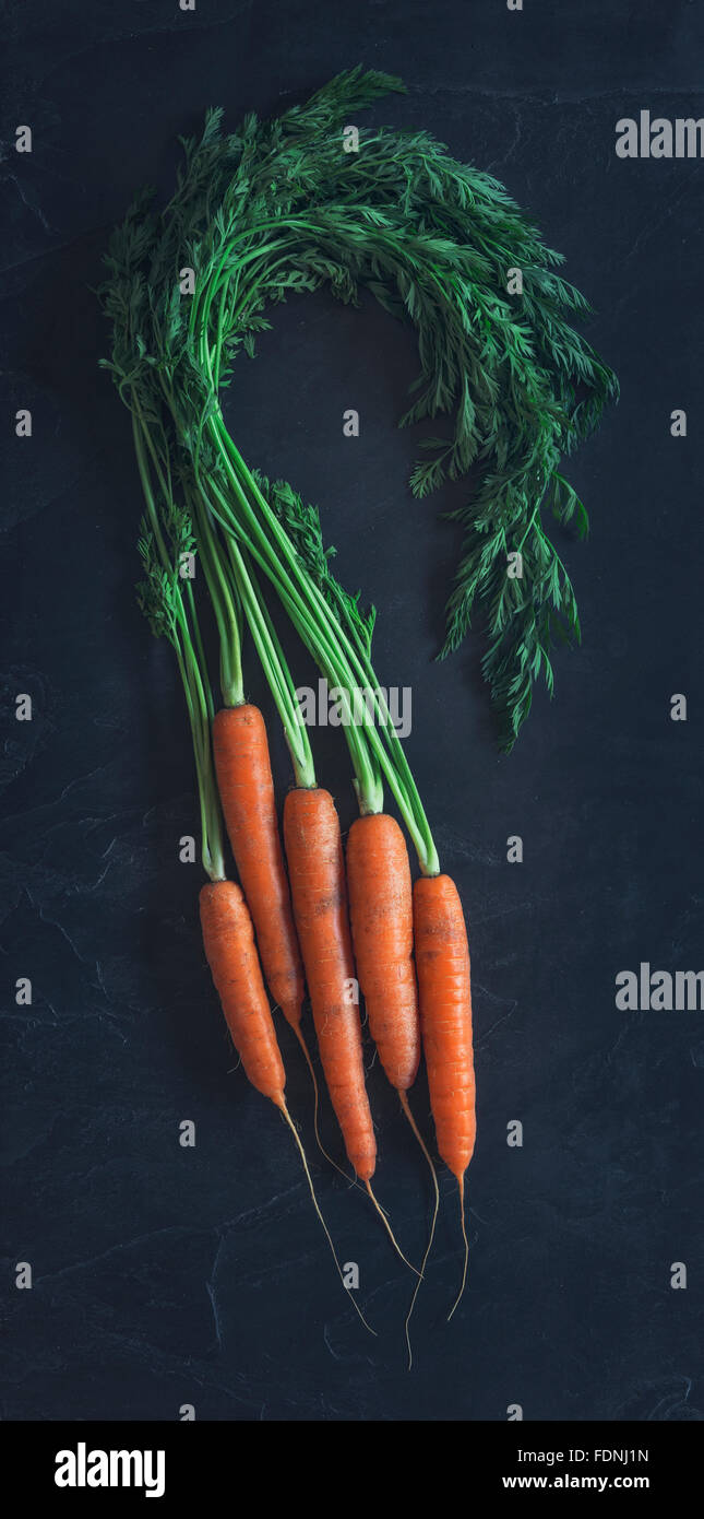 Some beautiful freshly picked organic carrots Stock Photo