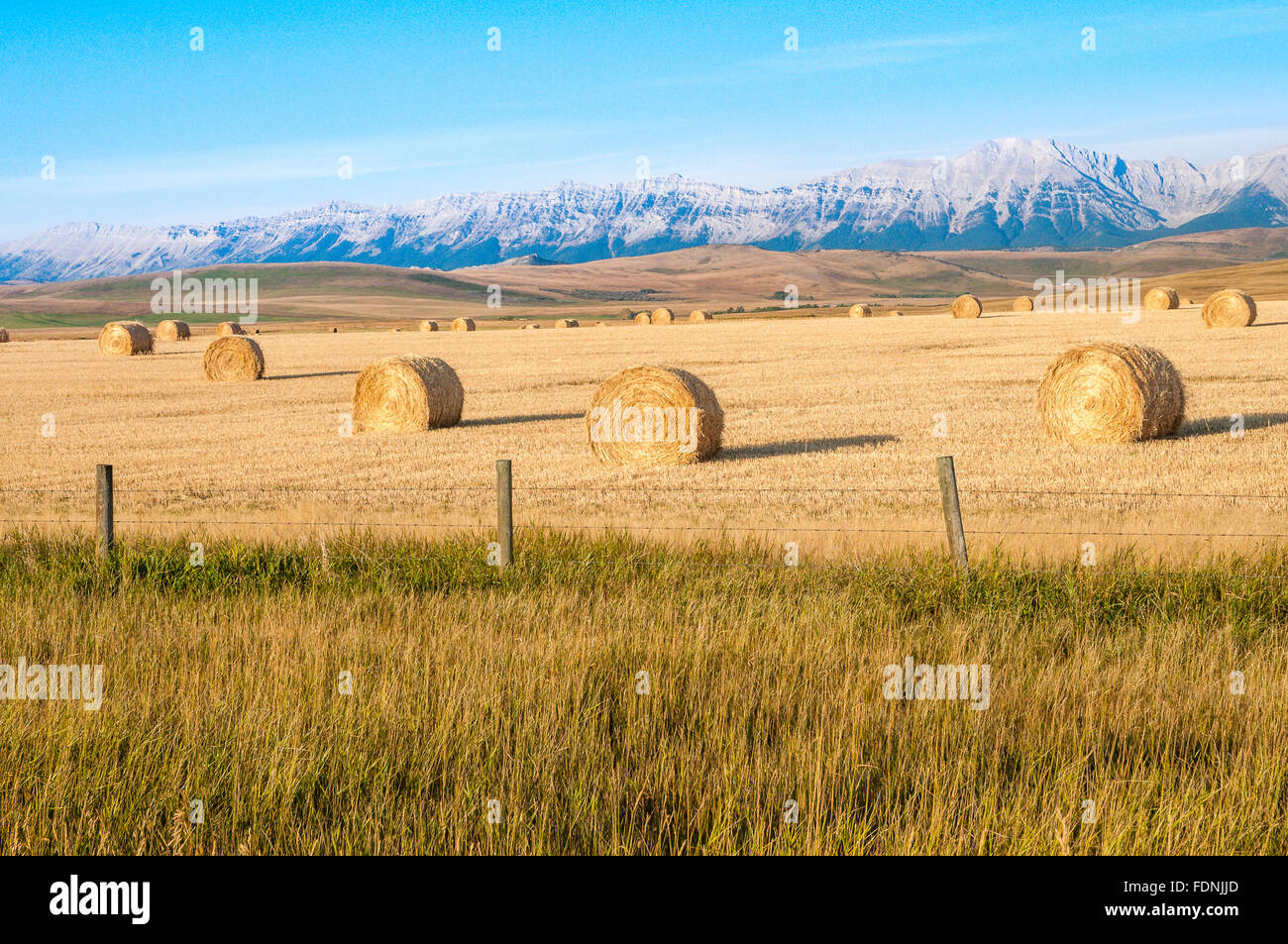 Alberta Foothills Stock Photos & Alberta Foothills Stock Images Alamy