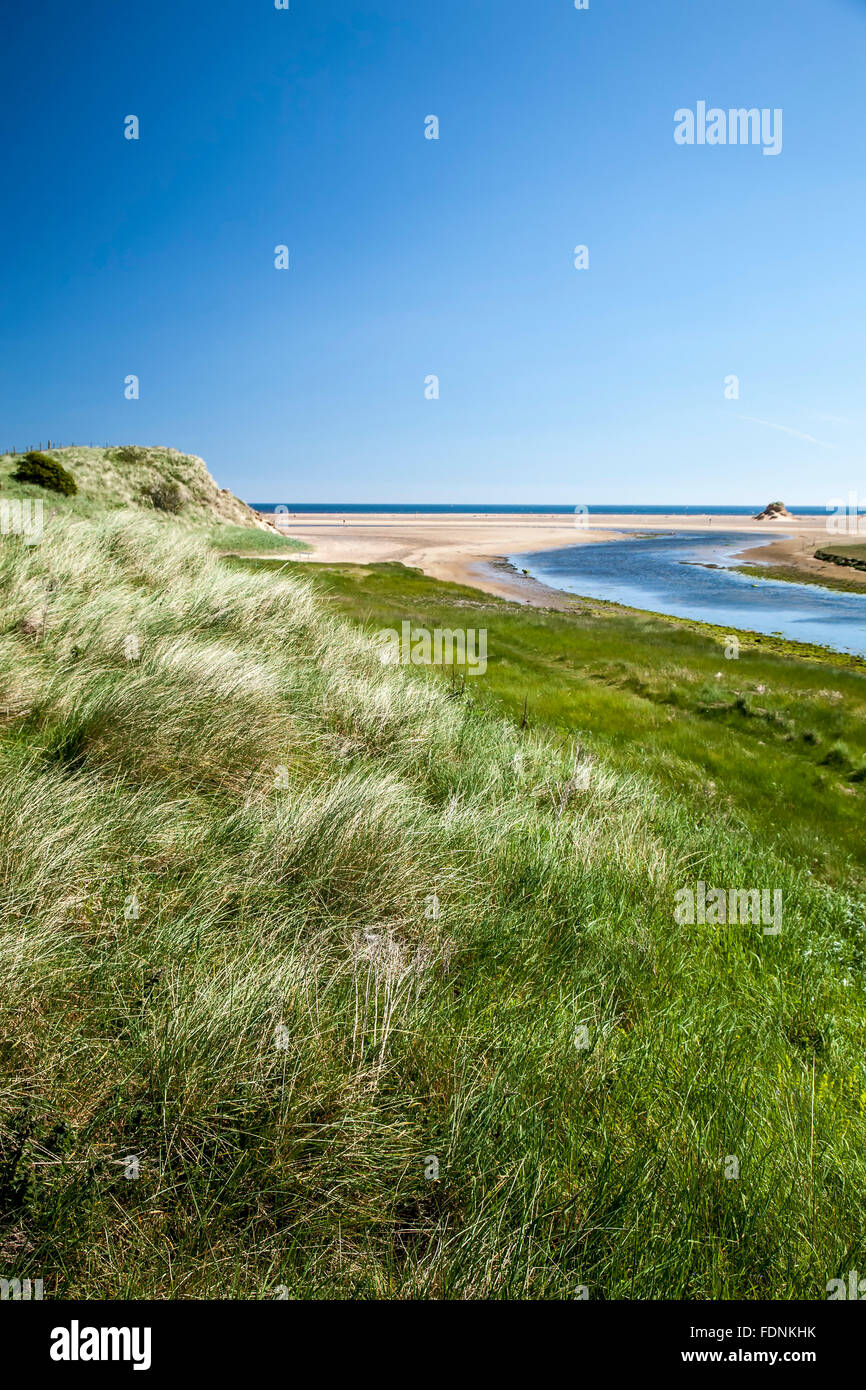 Grasses, stream and North Sea, Northumberland Coast Path, England, United Kingdom Stock Photo