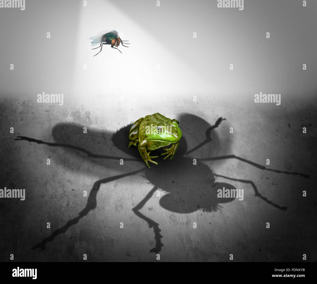Perception and reality as the giant cast shadow of a small bug falling on a fearful frog as a psychological metaphor for false impression or delusion and misconception symbol. Stock Photo
