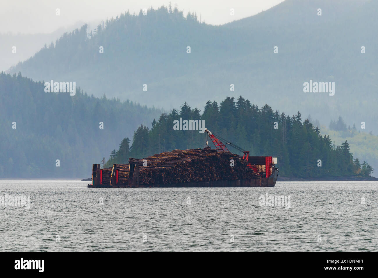 Lumber carrier cargo ship off the coast in the Pacific Northwest BC Canada Stock Photo