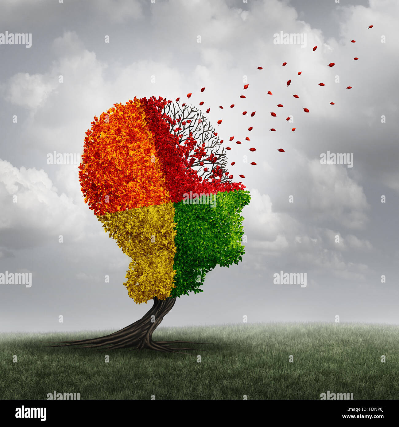 Dementia brain loss memory problem and aging due to cognitive disease and alzheimer's illness as a medical icon of a group of color changing autumn fall tree shaped as a human head losing leaves with winds of change. Stock Photo