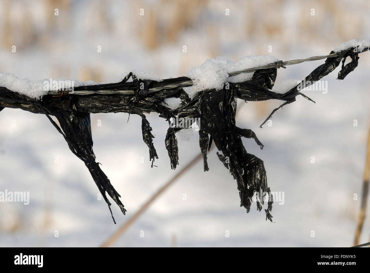 Black plastic bag caught on fence Stock Photo Alamy
