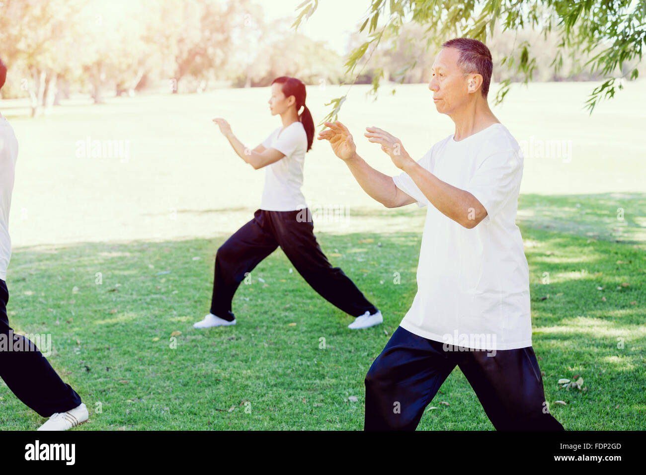People practicing thai chi in the park in the summertime Stock Photo