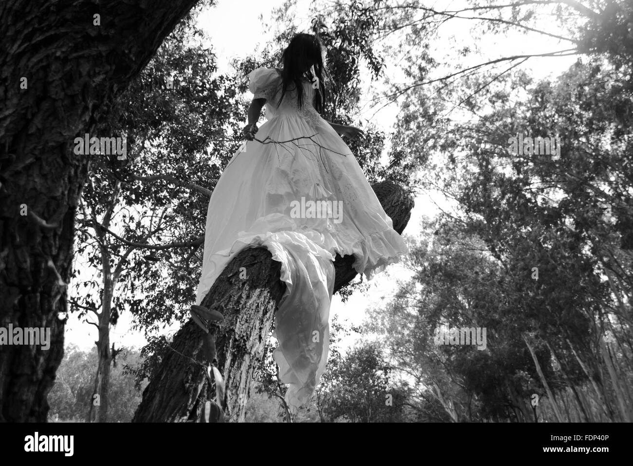 Mysterious Woman in White Dress in the Forest Stock Photo