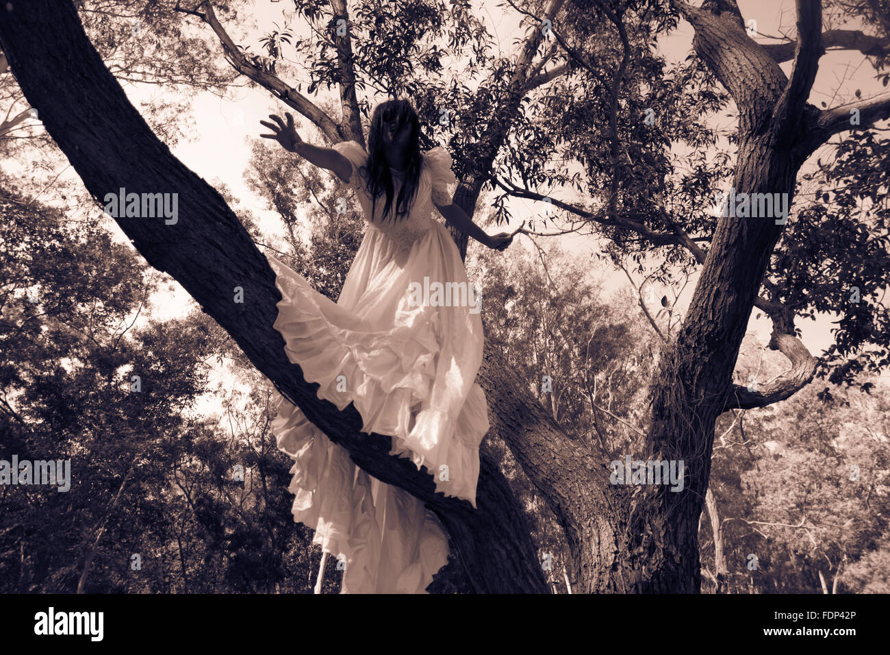 Mysterious Woman in White Dress in the Forest Stock Photo
