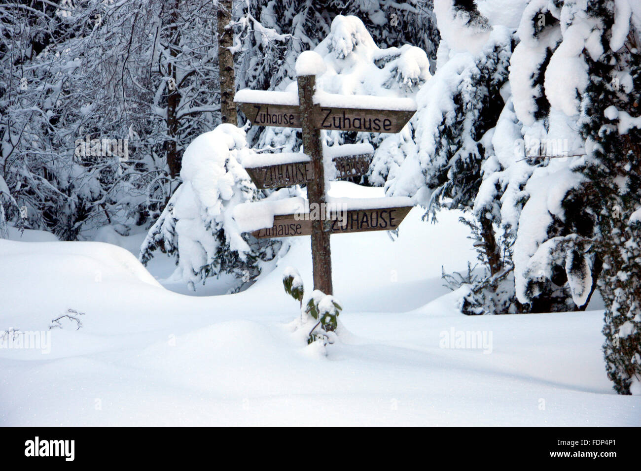 'Zuhause' - Winterimpressionen, Harz. Stock Photo