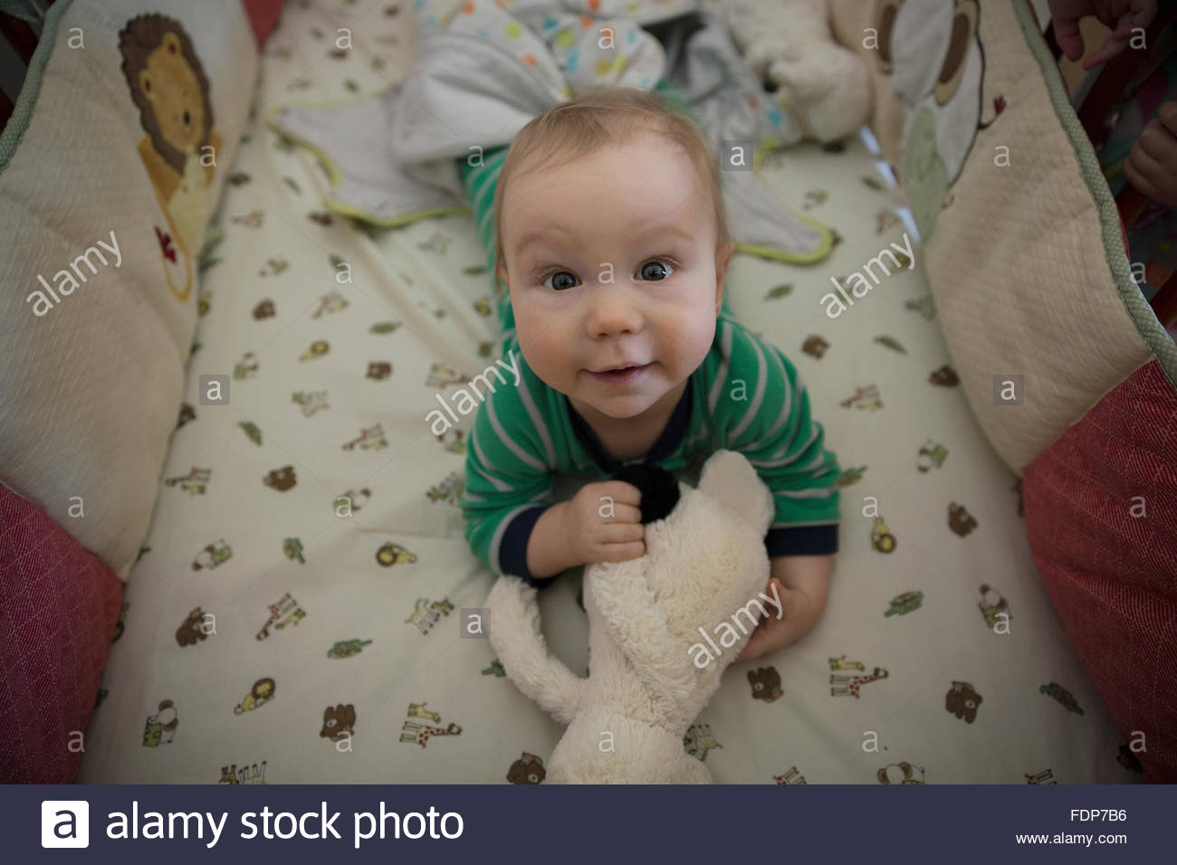 Portrait cute baby boy laying crib stuffed animal Stock Photo Alamy