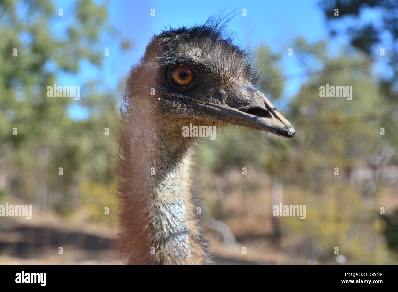 Australian largest hi-res stock photography and images - Alamy