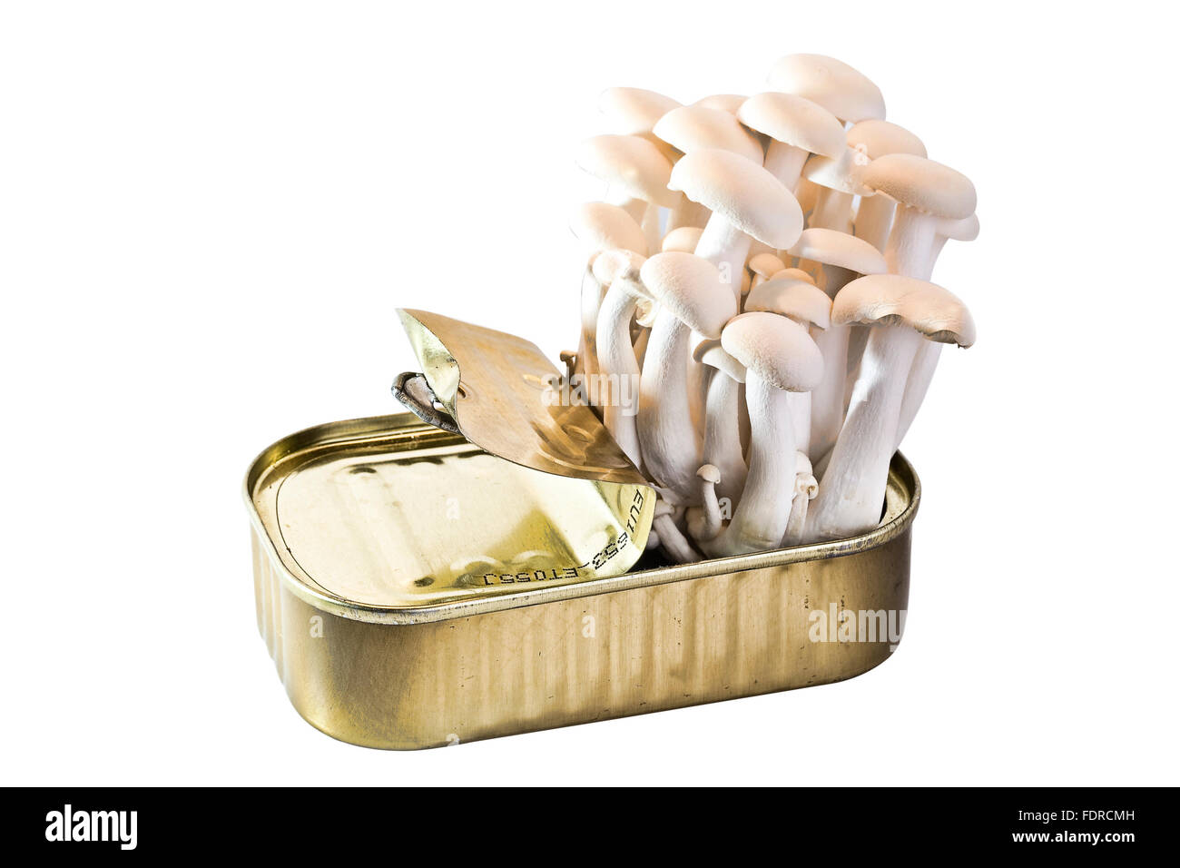 Genetically-modified Tinned Mushrooms on a white background Stock Photo